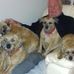 Edward Atherton - Facebook