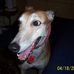 Edward Banny - Facebook