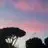 Edward BAO - @31202996561 - TikTok