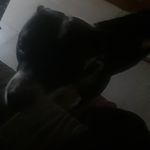 eduardo - @edwardbarraza70 - Instagram