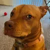 Edward Barrera - @ej.barrera - TikTok