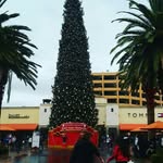 Edward Barrera - @edward_barrera_ - Instagram
