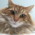 Edward BartholoMew Redmane - @edward_bartholomew_redmane - Instagram