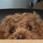 @edwardbartholomewthethird - Instagram