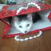 Edward Bartosiewicz - @edward.bartosiewi - TikTok