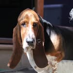 Clare - @edwardbasset - Instagram