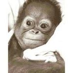 Edward Bate - @edward.bate.75 - Instagram