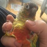 Edward Battell - @edward_battell - Instagram