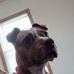 Edward Bauman - Facebook