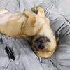 Edward Berrigan - @edward.berrigan - TikTok