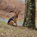 Edward Partsch - Facebook