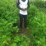Edward Bibbson Vargas Forhan - @edwardbibbson - Instagram