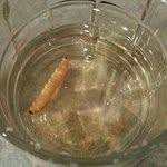 Edward K. Binion III - @funkdeath - Instagram