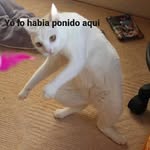 @edward_binso - Instagram