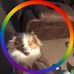 Ed Blackburn - Facebook