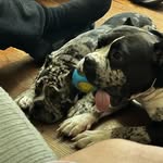 Edward Blakely - @efezzy131 - Instagram