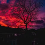 Edward-Blake Smith - @edwardblakesmith - Instagram