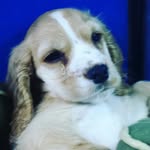 edward - @edward_stephen_blizzard34 - Instagram