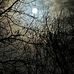 Ed Bloomer - Facebook