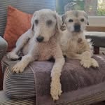 Edward Michael Jeremiah Boardman - @fudge28141 - Instagram