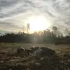 Bobby Edwards - @bobby_edwards - TikTok