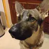 Edward Bockoven - @edward.bockoven - TikTok