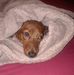 Edward Boisvert - Facebook
