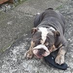 Edward S. Bolinger - @edwards.bolinger - Instagram