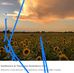 Edward Boll - Facebook