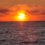 Edward Bollinger - @edward.bollinger - Instagram