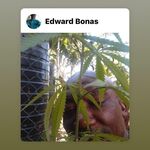 Edward Bonas - @edward.bonas.5 - Instagram