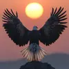Edward Bone - @edward.bone - TikTok