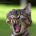 Edward Boudreau - Facebook