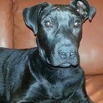 Edward Bourque - @edwardbourque - Instagram