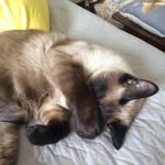 @edwardbowling73 - Instagram