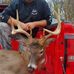 Edward Bowyer - Facebook