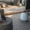 Charles Edward Brant Jr - @charles.edward.br1 - TikTok