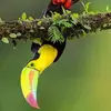 Edward Brant - @edward.brant - TikTok
