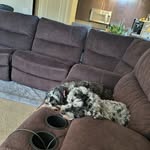 Edward Brantley - @kcct06 - Instagram