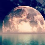 edward breedekamp - @edwardbreedekamp - Instagram