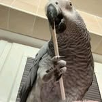Edward breeder - @edward_breeder - Instagram
