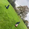 Edward Bridger - @edward.bridger - TikTok