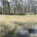 Edward River Bridge Campground - Facebook