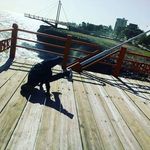 Edward Brito - @bboy_dark_g - Instagram