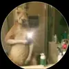 Edward Brito - @edward_brito16 - TikTok