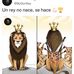Edward Brito - Facebook