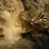 Brody Edwards - @brody.edwards5 - TikTok