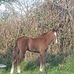 Eddie Brogan - Facebook
