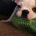 Eddie Browning - Facebook