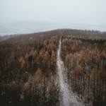 EdwardBrum - @edwardbrum - Instagram